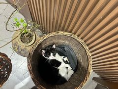 -原田新料理(1912店)