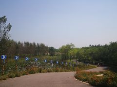-东郊湿地公园