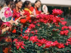 -人民公园(罗湖区)