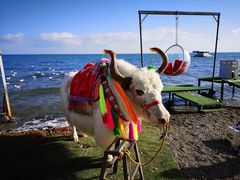 -青海湖国家重点风景名胜区