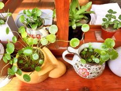 -铃木食堂(帽儿胡同店)