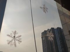 -豆柴町-柴犬主题狗咖(红鼎国际C座店)
