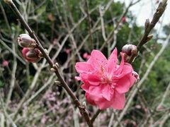 -黄金沟旅游风景区
