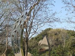 -昆山城市生态森林公园