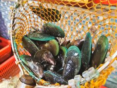 -巽寮印象美食部落餐厅·海鲜·地方特色菜(惠州体验店)