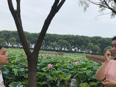 -罗田天堂寨风景区