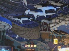 -烟台海昌鲸鲨海洋公园