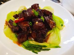 红烧肉-桃园中华料理炸酱面(燕儿岛路店)