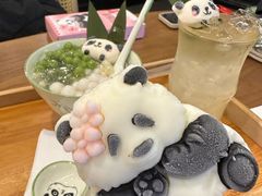-轩客会(熊猫书店)