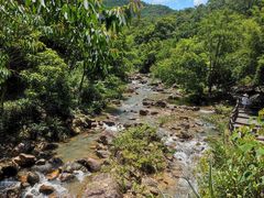 -广州白江湖森林公园