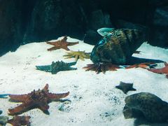 景点-福州罗源湾海洋世界旅游区