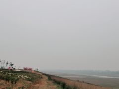 -空港花田景区