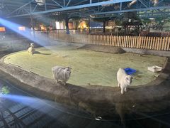 -水洞沟旅游区