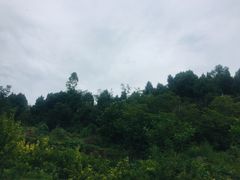 -金堂县云顶石城风景区