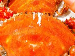 -北塘海鲜·天津菜·鲅鱼水饺是一绝(大光明桥旗舰店)