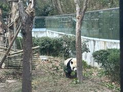 -黔灵山公园