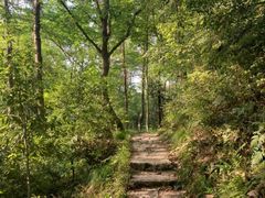 -青龙山国家森林公园