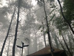 -窦圌山风景区