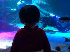 -沈阳海洋探索中心