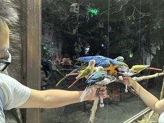 -泉城欧乐堡海洋极地世界