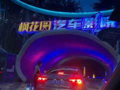 -枫花园汽车电影院(朝阳公园店)