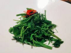 -觀芷隐轩