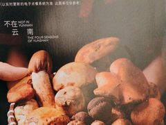 -芸山季·云南野生菌火锅(宝能环球汇店)