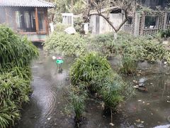 -大妙火锅·非物质文化遗产(东湖公园店)