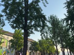 -杭州湖滨in77