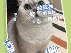 -美联众合动物医院·24h转诊中心