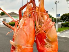 -品鲜村农家菜·阳澄湖大闸蟹(总店)