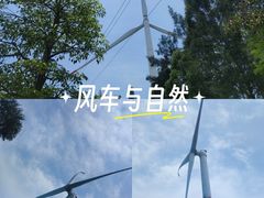 -汕尾风车岛