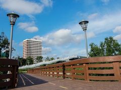 -宝安西湾红树林湿地公园