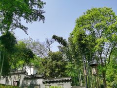 -镇江市南山风景名胜区竹林景区