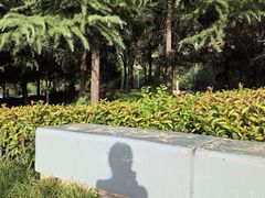 -木塔寺遗址生态公园