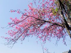 -黑龙潭公园