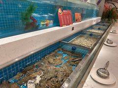 -腾阁自助餐厅(朝林广场店)