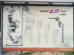 -北京大学百年讲堂