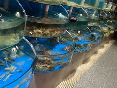 -蓝珊甄选海鲜自助·火锅大排档(近阿那亚店)