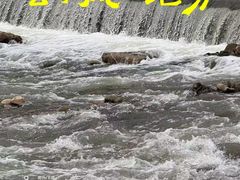 -绿堤公园
