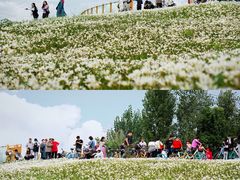 -白鹭湾湿地公园