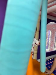 -孩子王童乐园(成都吾悦广场店)