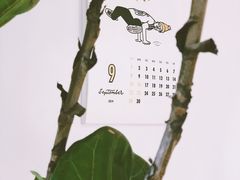 -猫里有甜