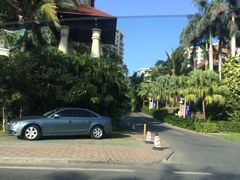 金棕榈酒店-三亚亚龙湾金棕榈度假酒店