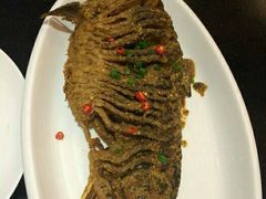 -谢虢彬名厨私房菜