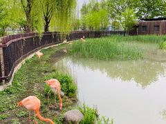 -上方山森林动物世界