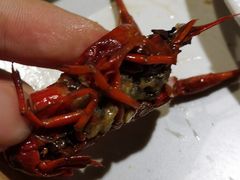 -蛙蛙叫干锅年代(簋街总店)