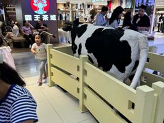 -红星前进面包牛奶公司(君太店)