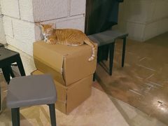 -逃脱反斗城沉浸剧情密室(北京路店)