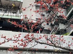 -烈士陵园(地铁站)
